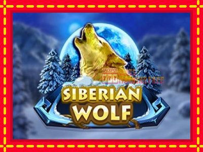 Siberian Wolf - lošimo automatas nemokamai